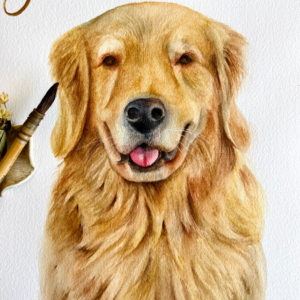Golden Retriever, o pet em aquarela mais vendido no Estúdio