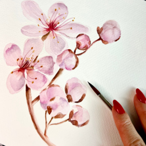 flor de cerejeira