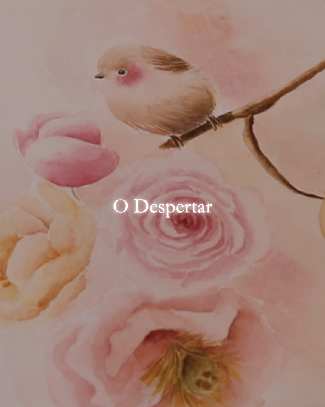 Fase 00 — O Despertar
