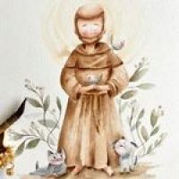 são francisco de assis mundo ludico